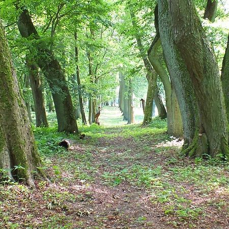 Dwor Klewiny Villa Buitenkant foto