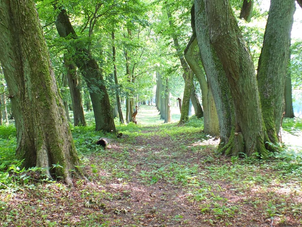 Dwor Klewiny Villa Buitenkant foto