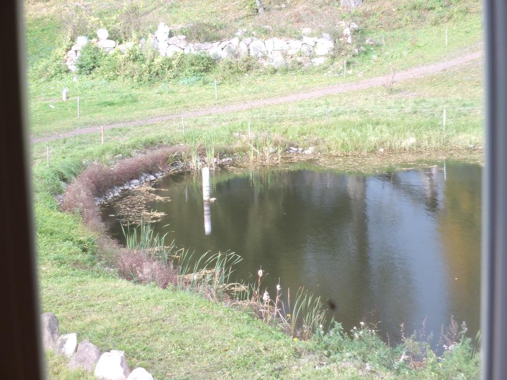 Dwor Klewiny Villa Buitenkant foto